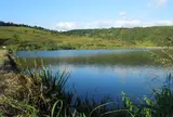 曽田の池