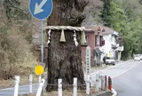 御岩山の三本杉