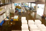 地方卸売市場氷見漁市場