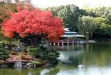 清澄庭園