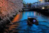 岡崎疏水