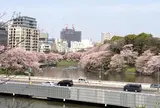 北の丸公園の土手から見下ろす
