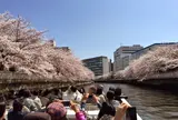 お花見周遊船に乗る