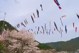 神崎いこいの村グリーンエコー笠形
