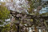 「宗像三女神」を祀る・宗像神社