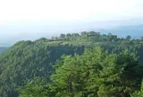 （有）フラワーパークあまがせ