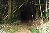 シガイの森