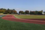 新井総合公園