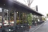 カフェ ミケランジェロ