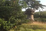 長根浜公園