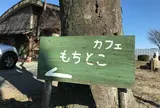 もちとこ