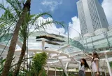 サンシャイン水族館