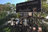 Wangpo Elephant Camp