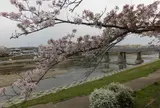美嚢川