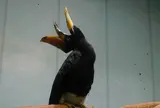 静岡市立日本平動物園
