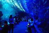 アクアワールド茨城県大洗水族館