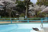 横浜市野毛山公園