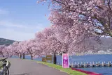諏訪湖