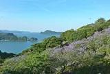 亜熱帯作物支場〜トロピカルドーム・ジャカランダの森〜