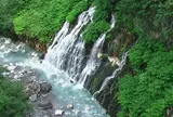 白ひげの滝