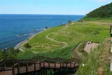 白米千枚田