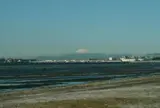 ふなばし三番瀬海浜公園