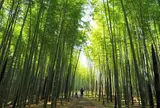 若山農場