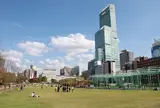 てんしば