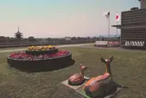 奈良県庁舎 屋上広場