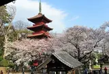 成田山新勝寺