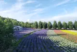 ファーム富田