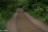 権現山〜弘法山