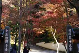 今熊野観音寺