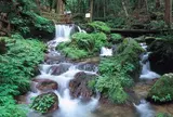 瓜割の滝