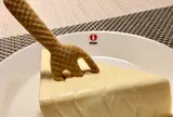 チーズケーキ 横井