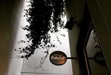 Restaurant 8ablish