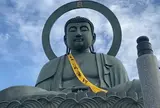 高岡大仏