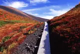 秋田駒ヶ岳