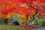 宝厳院