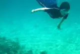対馬グリーンパーク