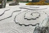 青もみじが美しい「瑞巌山　圓光寺（えんこうじ）」