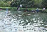 東岳湧泉