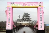 墨俣桜まつり