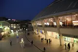 ナゴヤドーム