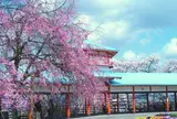 長野公園