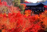 東福寺