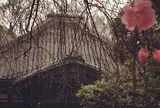 三番 無量寺 むりょうじ