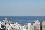 中央公園
