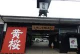 🍶キザクラカッパカントリー