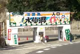 立川水仙郷